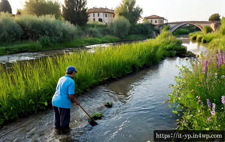 Ripristinare un corso d’acqua: criteri, interventi e valore per la resilienza del territorio 3 하천 생태계 복원과 지역 생태계 회복력 관련 이미지 1